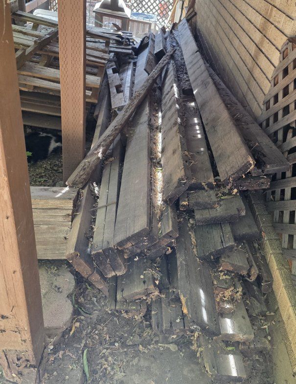 Wood Pile