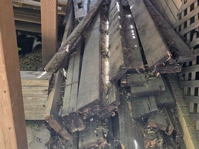 Wood Pile