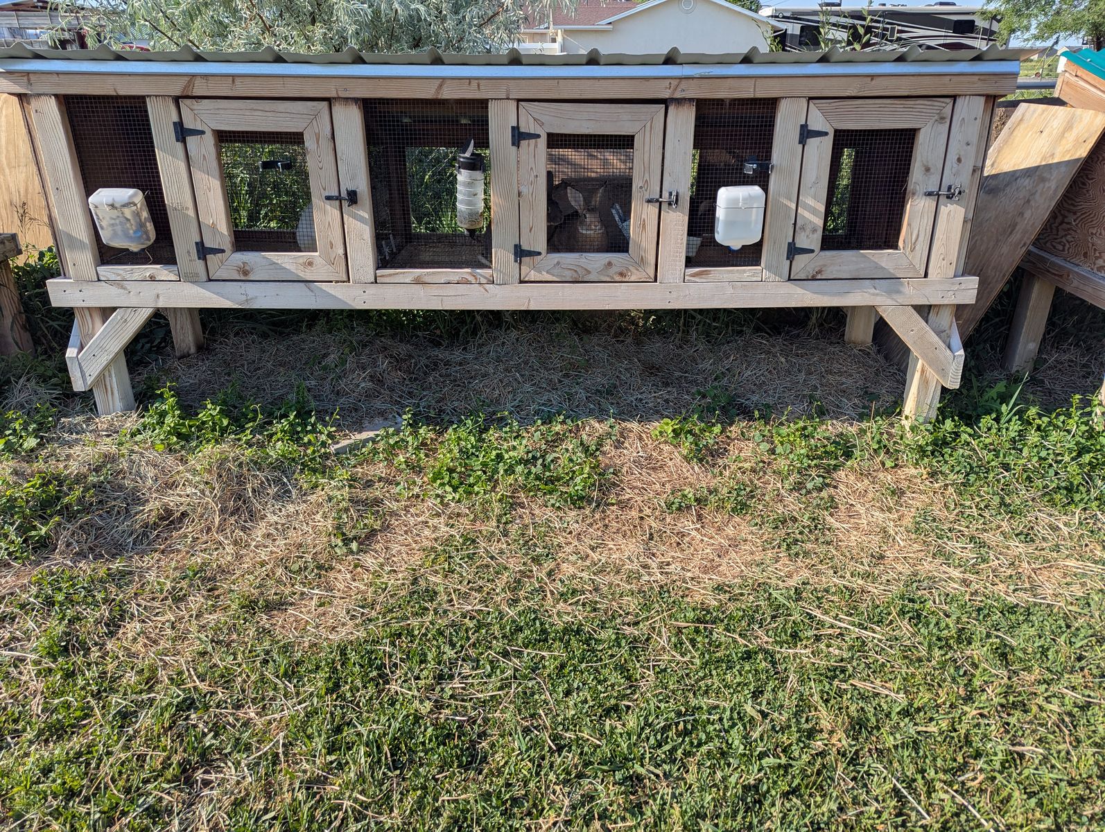 3 bay rabbit hutch
