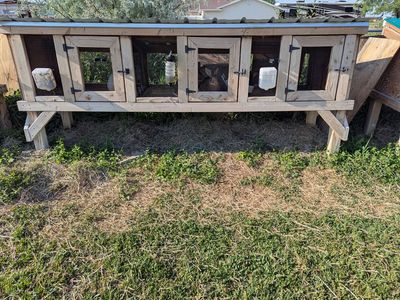 3 bay rabbit hutch