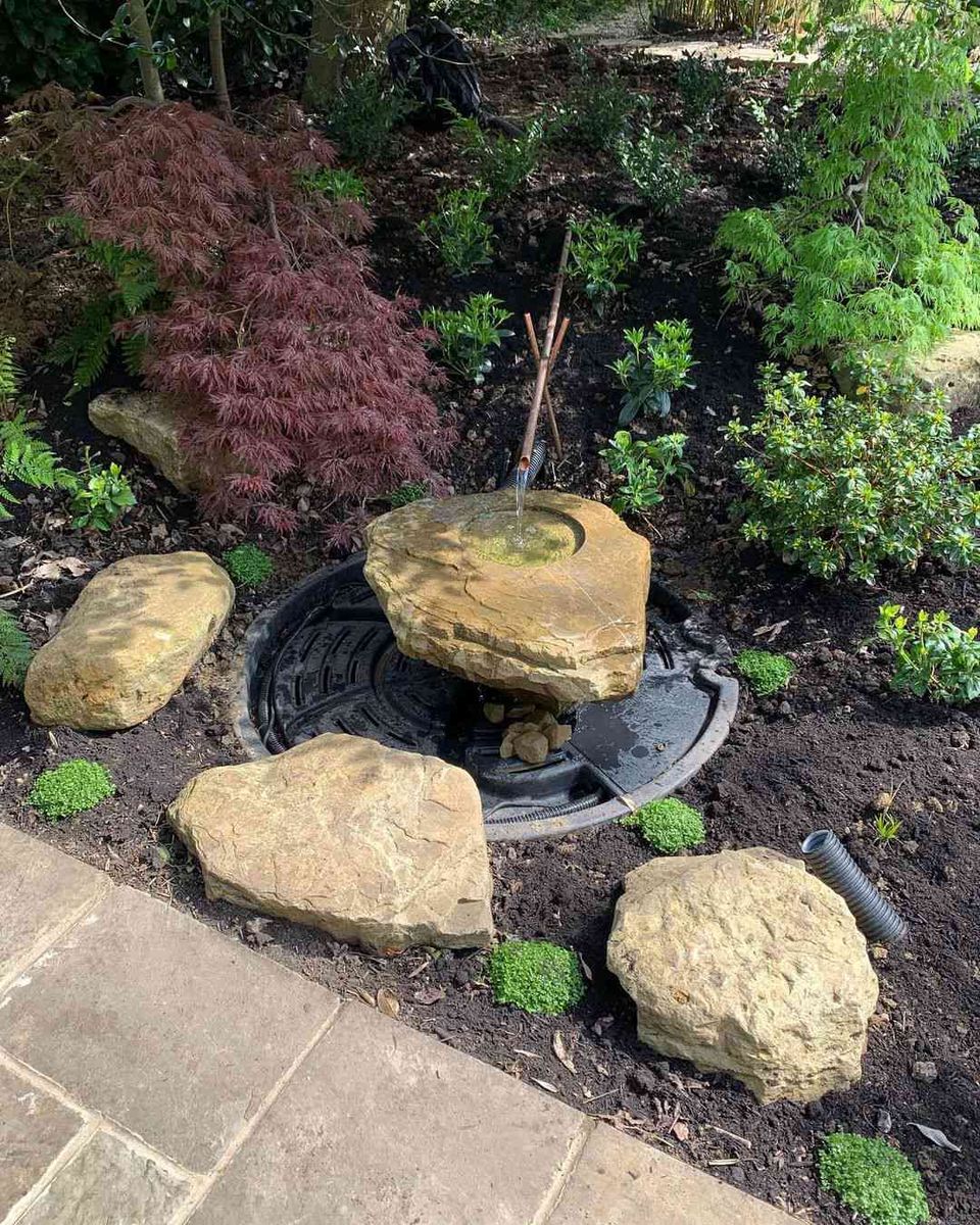 Main image 6