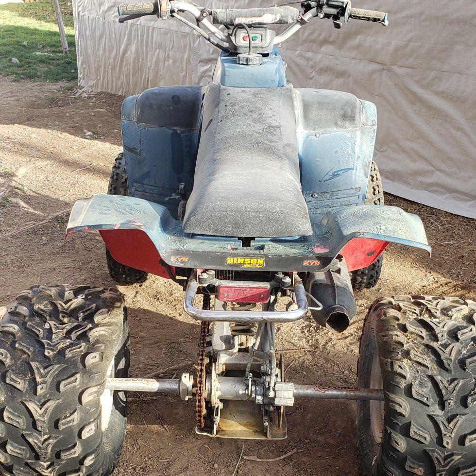 89 Yamaha Warrior 350