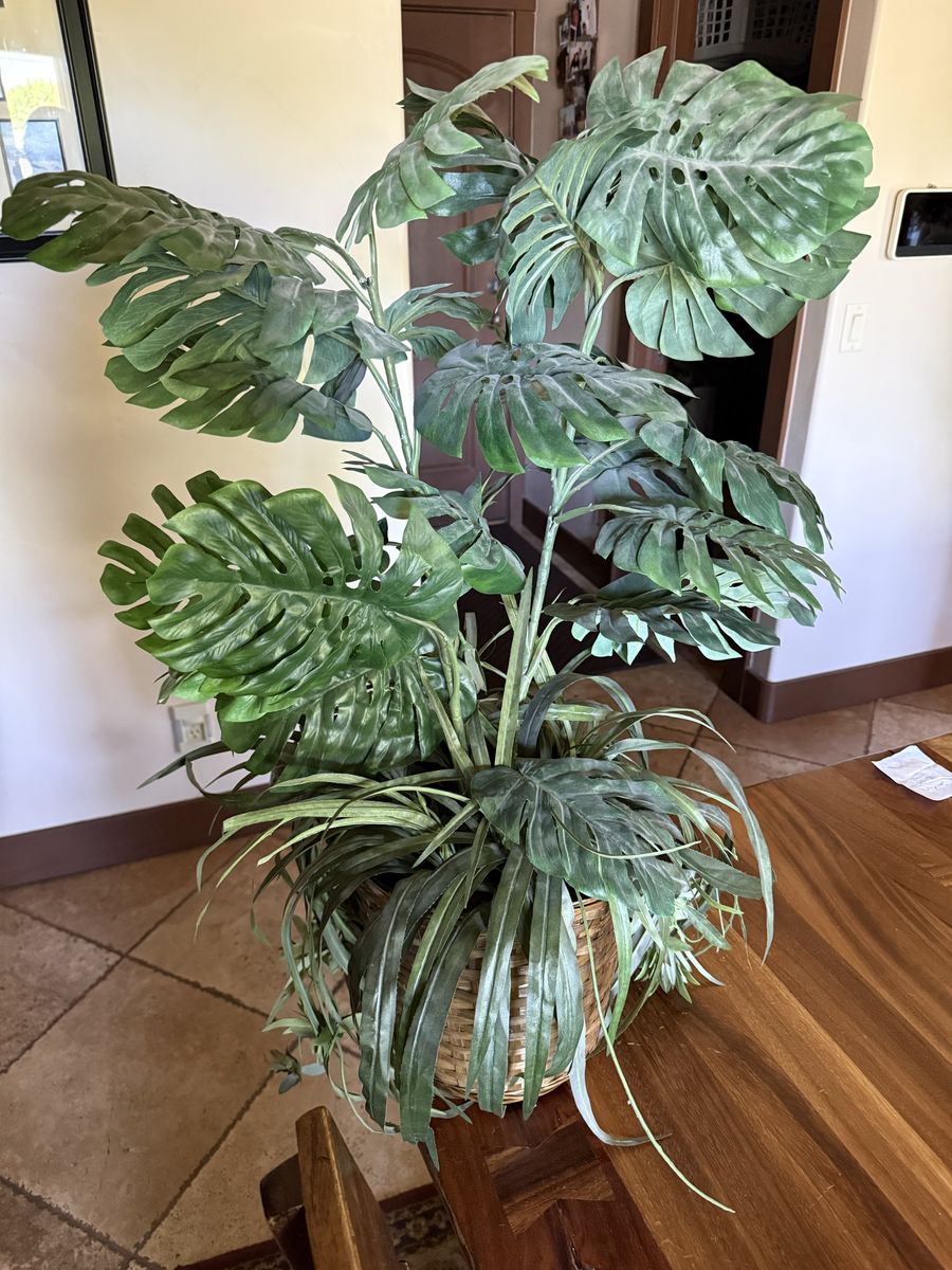 Large Artificial Monstera Plant with Woven Basket Planter - Realistic Faux Tropical Decor