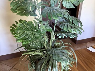 Large Artificial Monstera Plant with Woven Basket Planter - Realistic Faux Tropical Decor