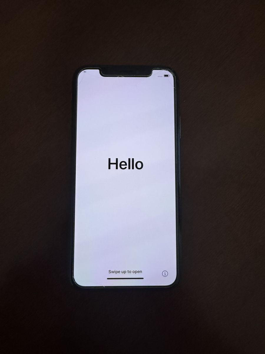 iPhone X