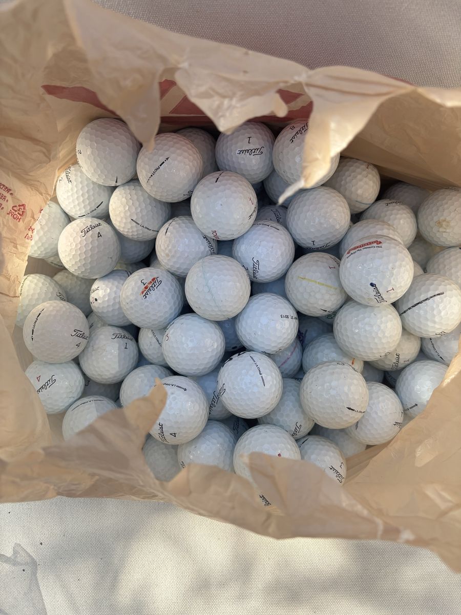 Titleist Pro V1 Golf Balls - Used
