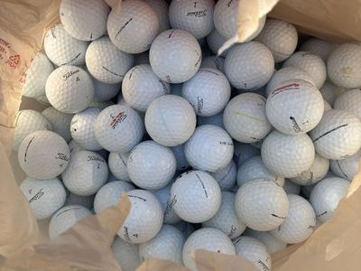 Titleist Pro V1 Golf Balls - Used