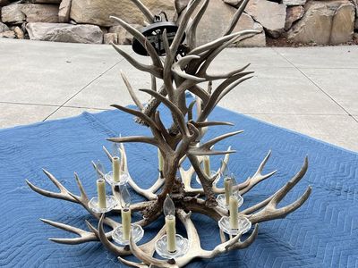 Large Real Antler Chandelier - Rustic Lodge Cabin Lighting Fixture, 9-Light