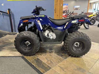 2021 Arctic Cat ALTERRA 90 2X4