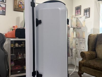 spaceship style violin case 3/4-4/4 violin silver white