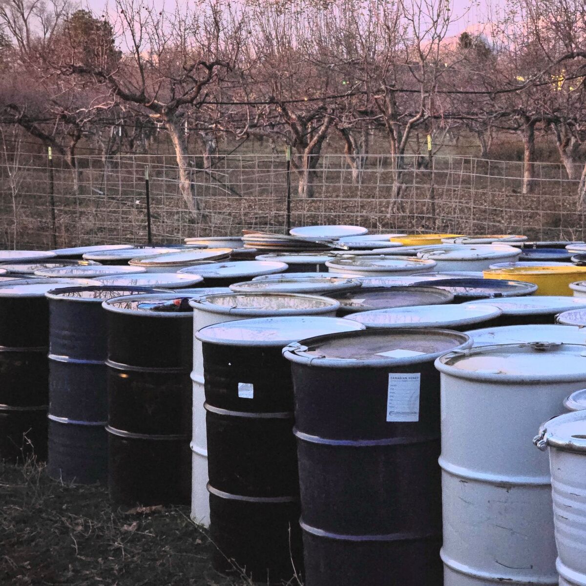 55 Gallon Drum Barrels