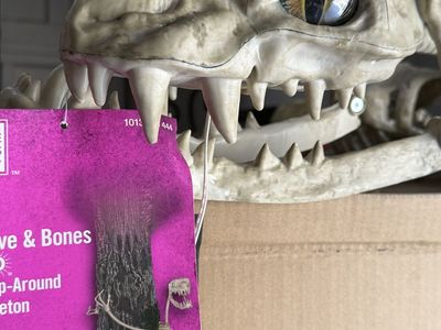 Home Depot Halloween Grave & Bones Skeleton Constrictor Box of 3