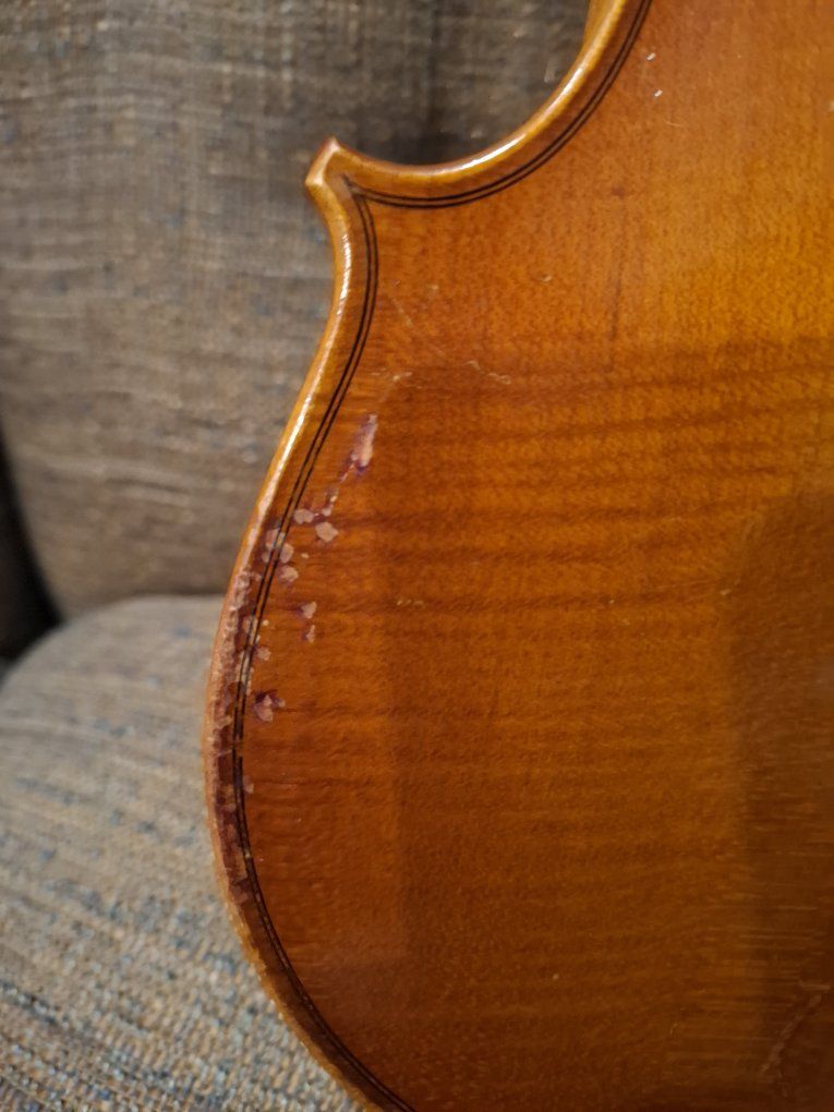 Main image 8