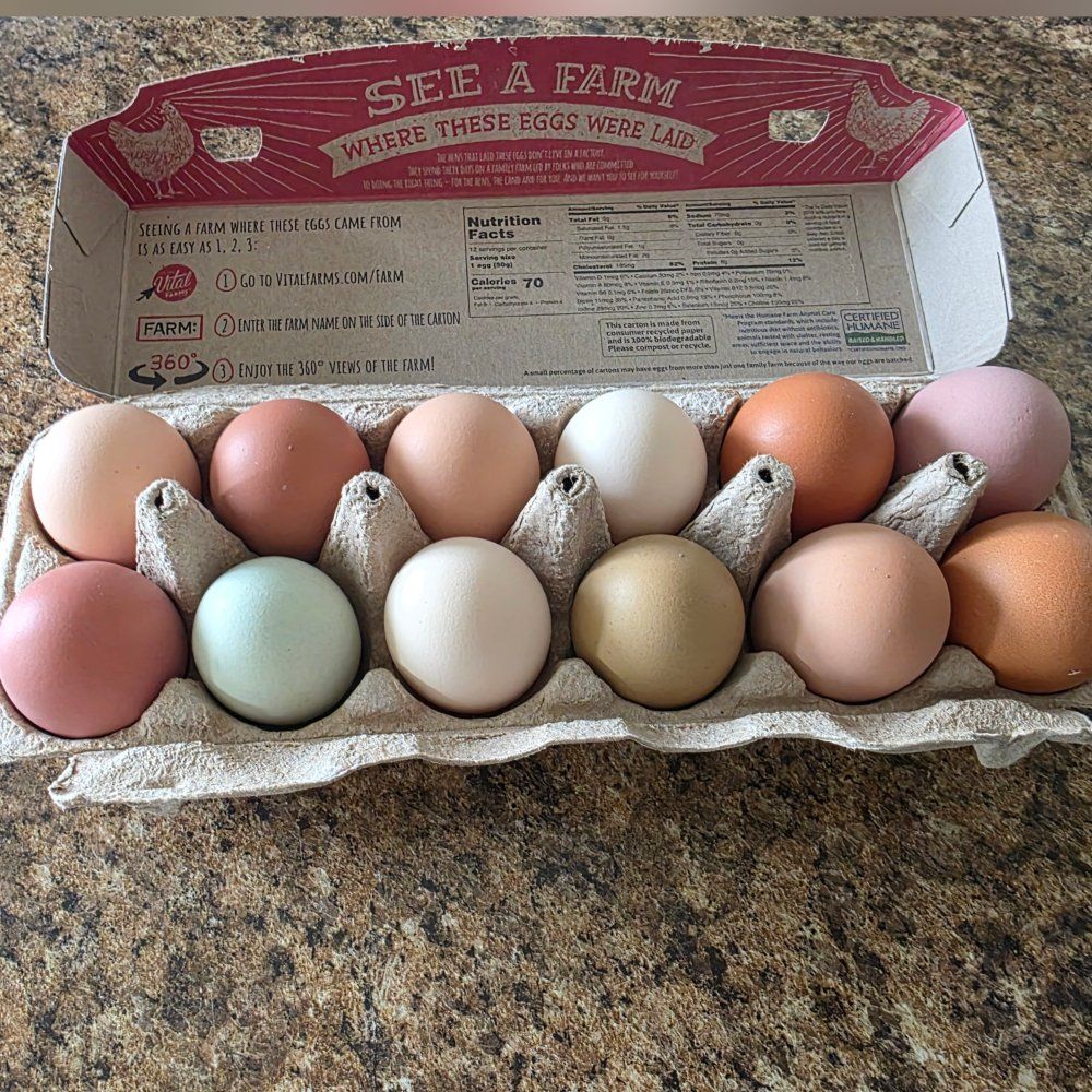 Colorful fresh chicken eggs