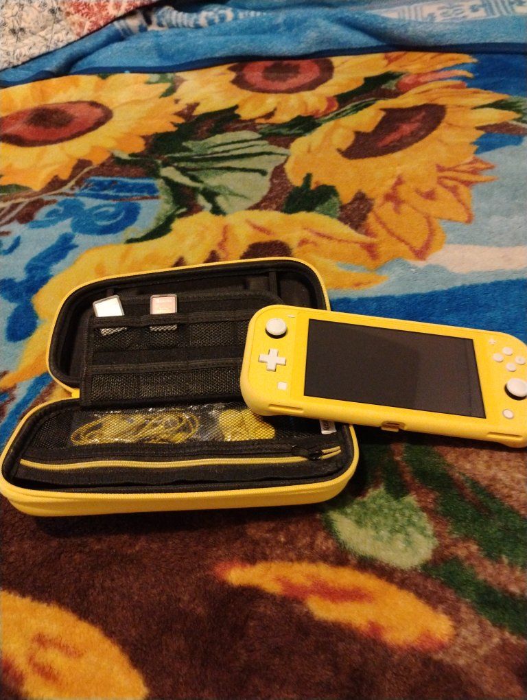 Nintendo switch lite