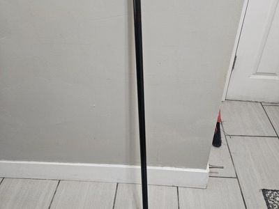Black Cat Dog Hair Rubber Bristle Broom