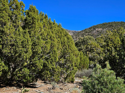 10 Acres of Mountain Land Next to BLM