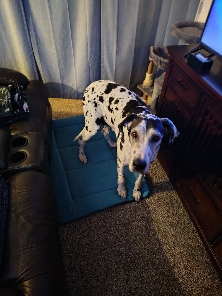 Sweet, and most Loving