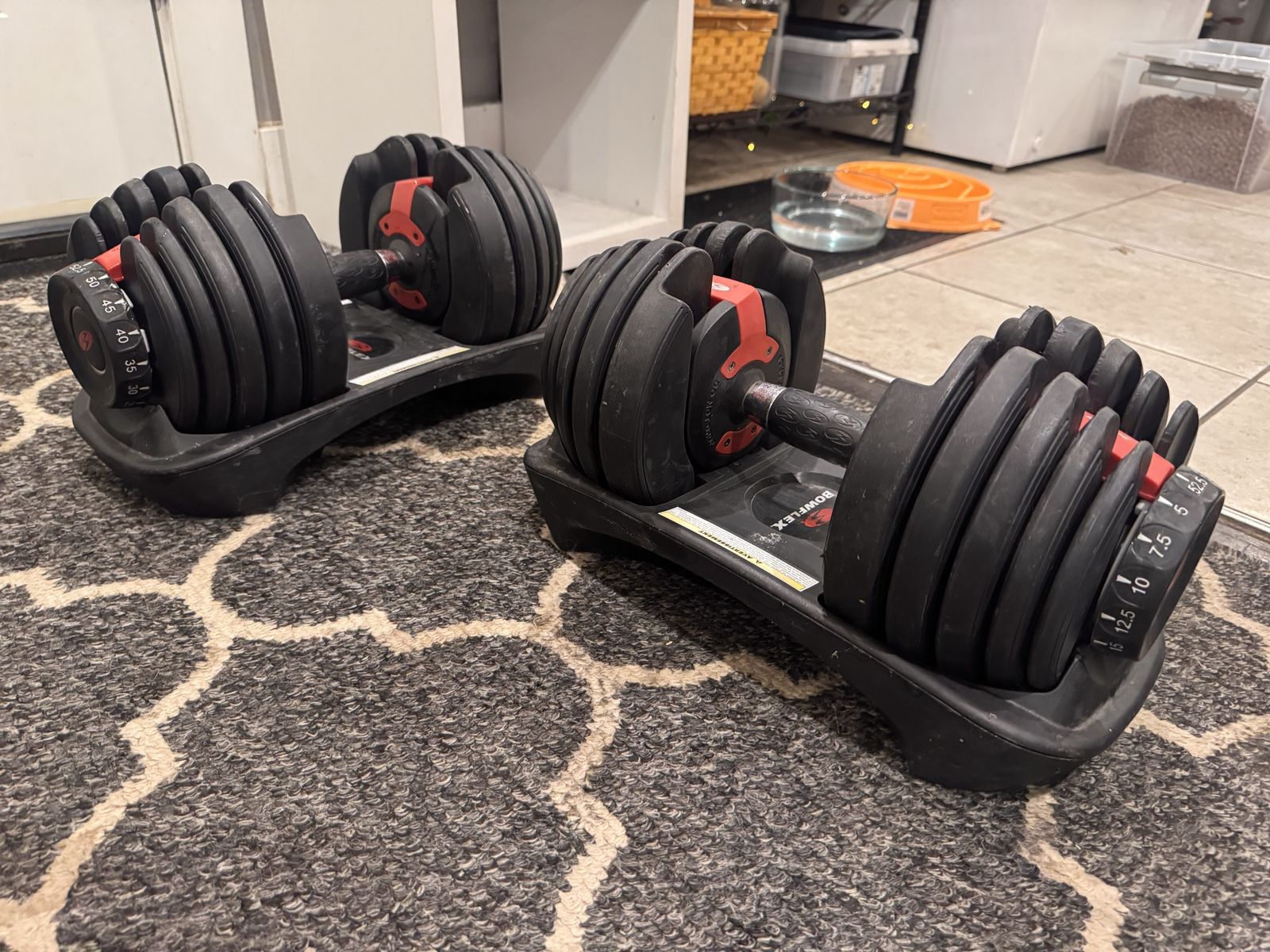 Bow Flex Adjustable Barbells 52 1/2 Pounds $200