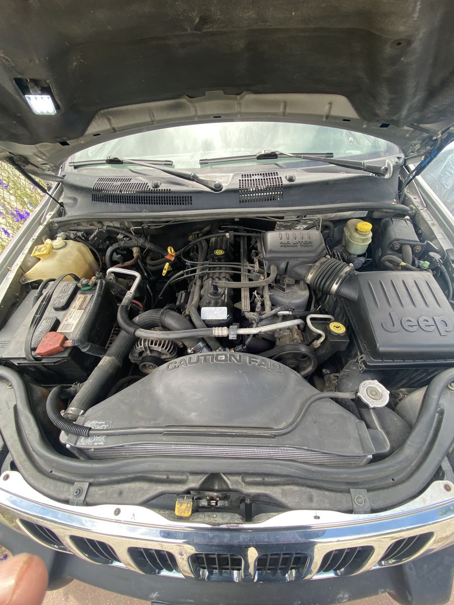 Main image 5
