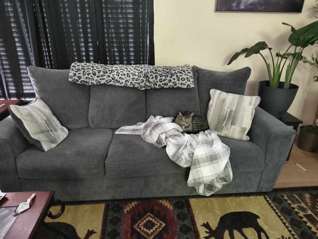 sofa