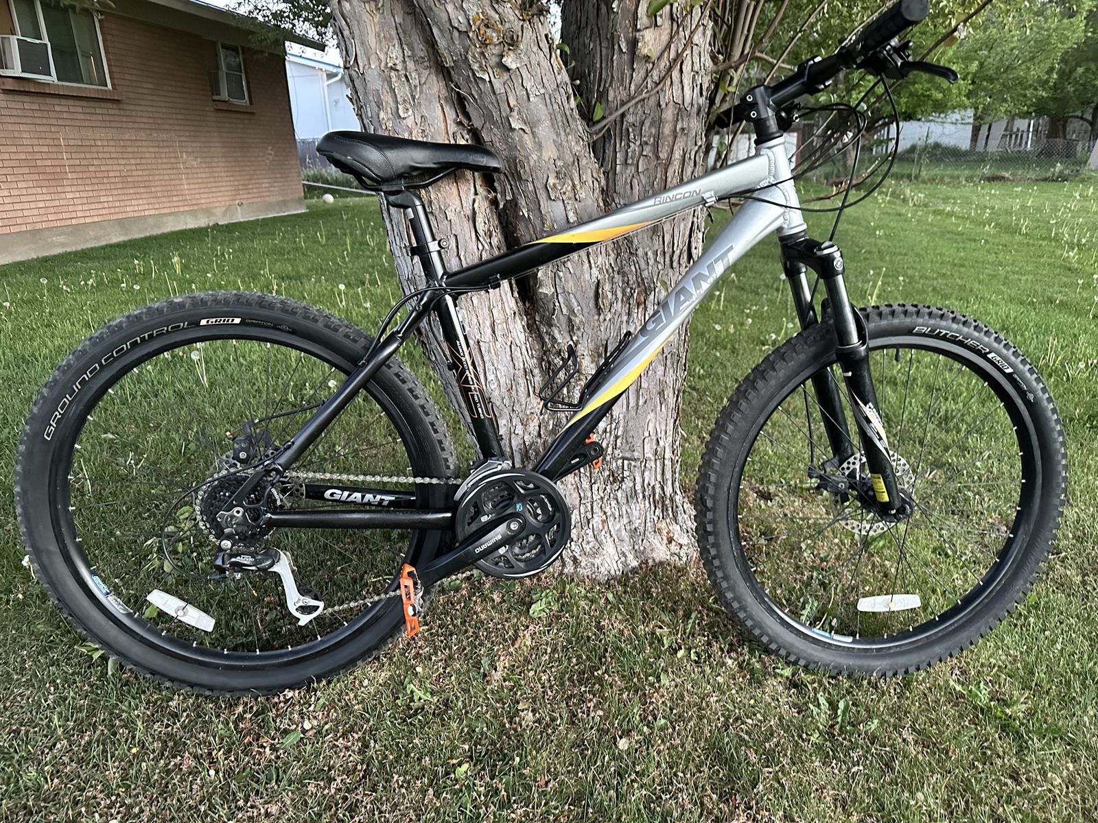 Giant 26