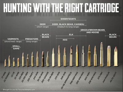 Looking for unwanted ammo