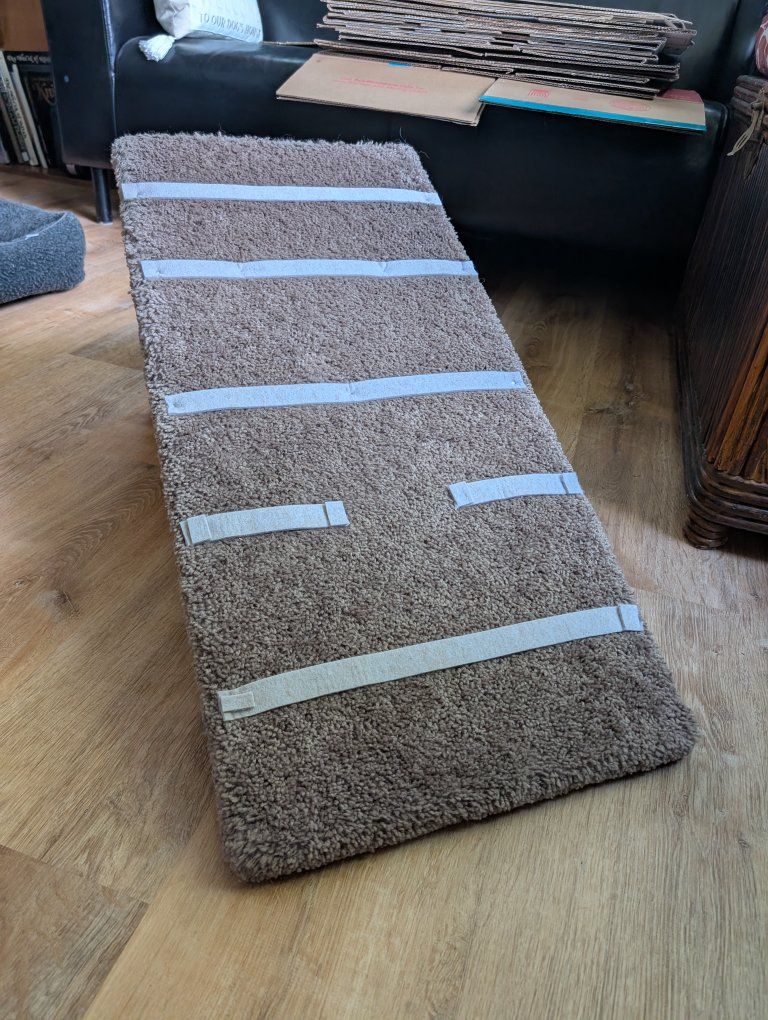 Pet ramp