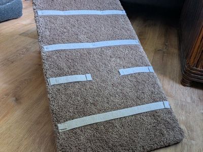 Pet ramp