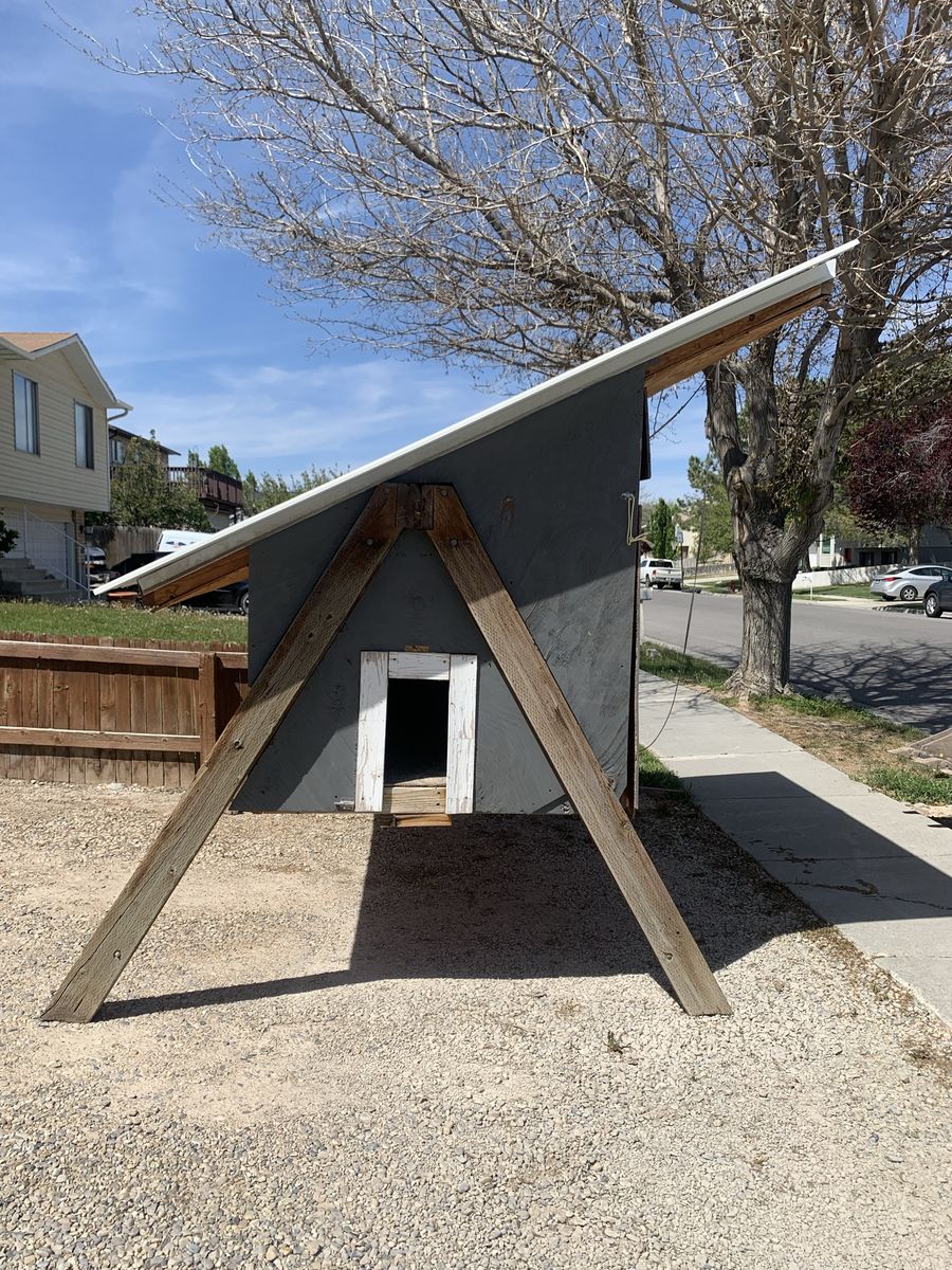 Chicken Coop