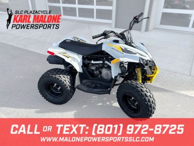 2024 Can-Am Renegade 110 EFI Catalyst Grey & Neo Y