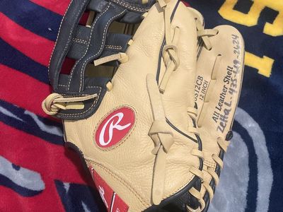 Rawlings catcher glove