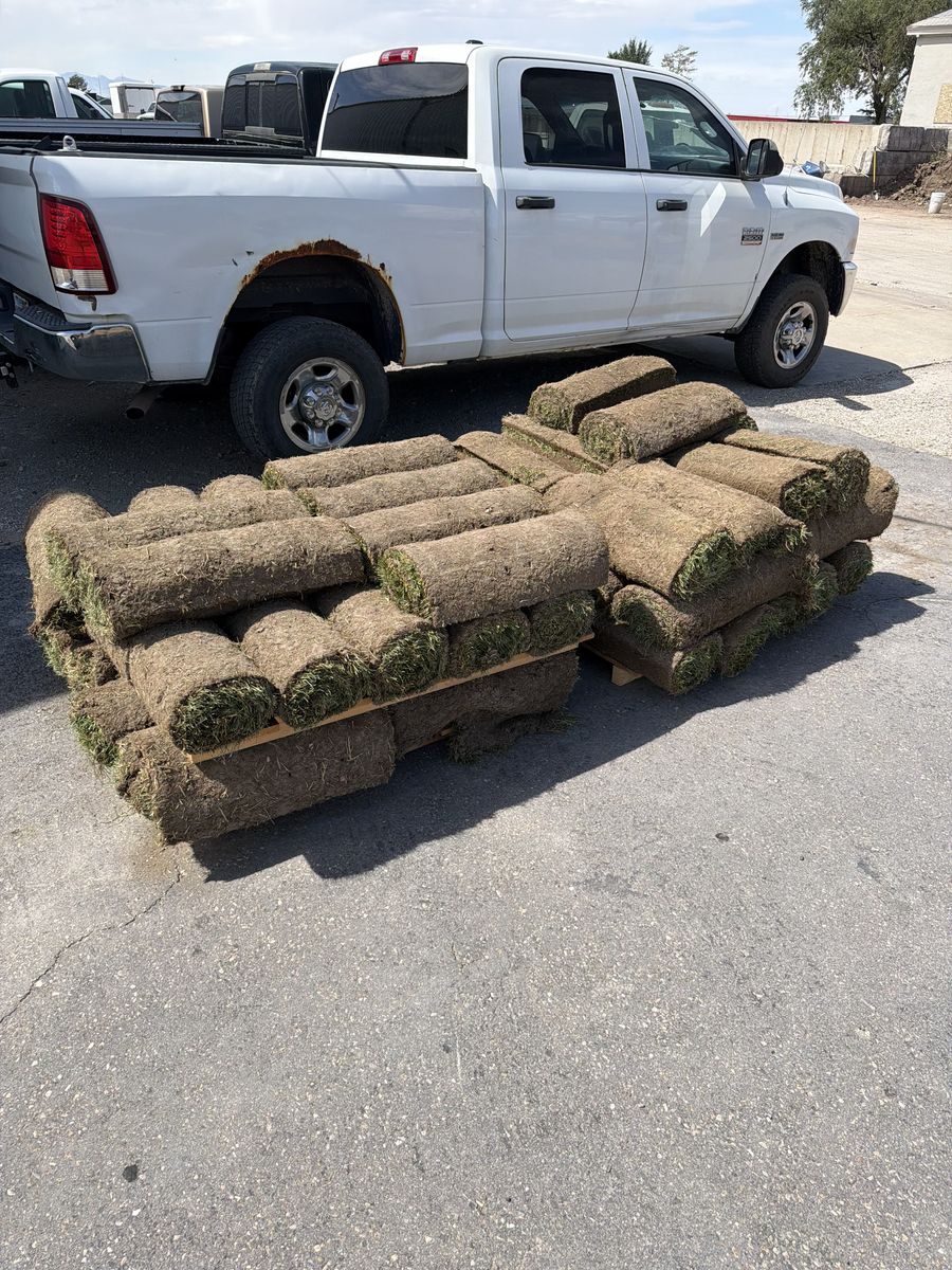 600’ of Sod
