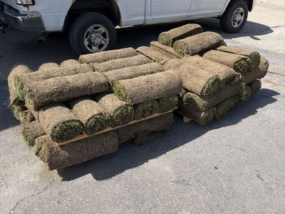 600’ of Sod