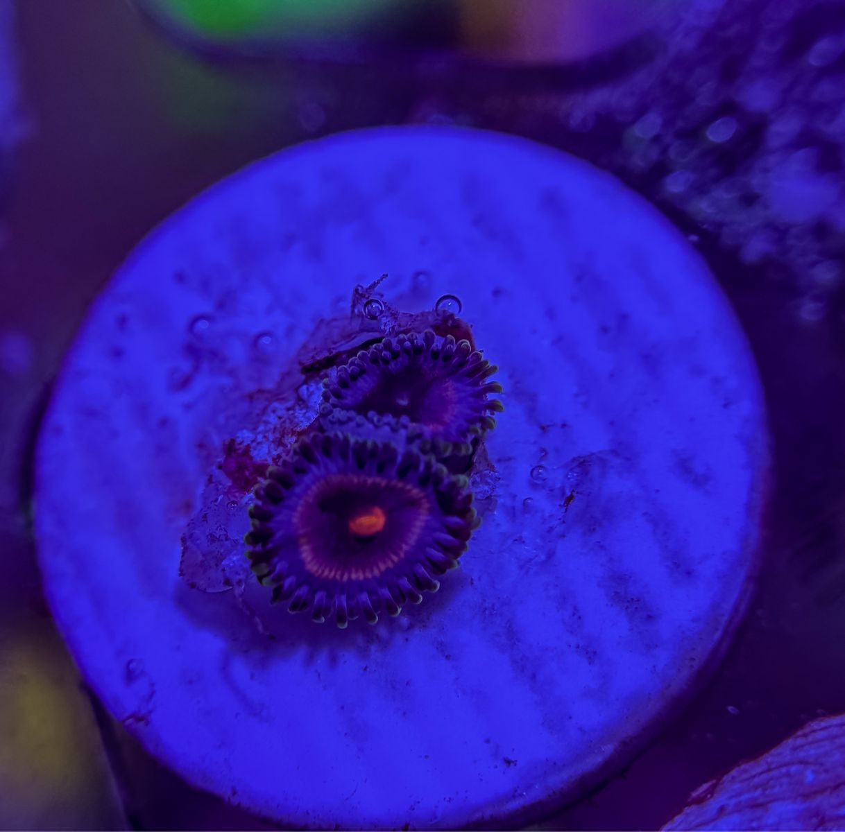 Main image 8