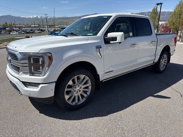 2023 Ford F-150 Limited
