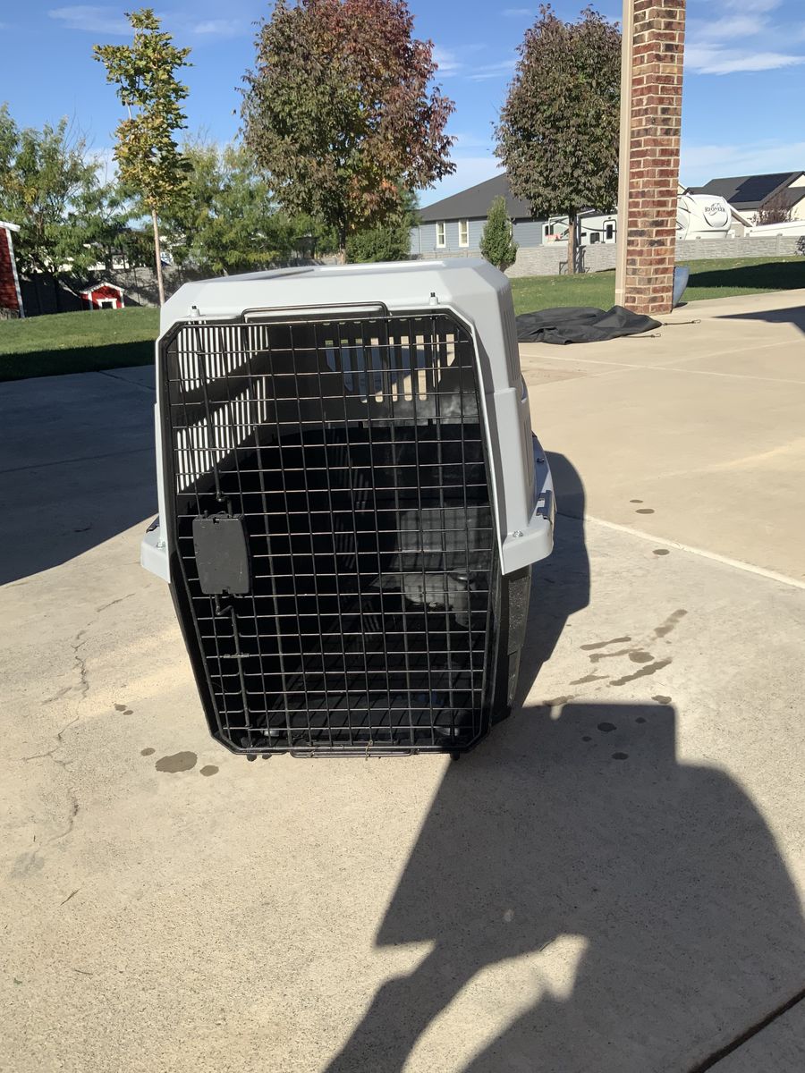 Dog crate/kennel