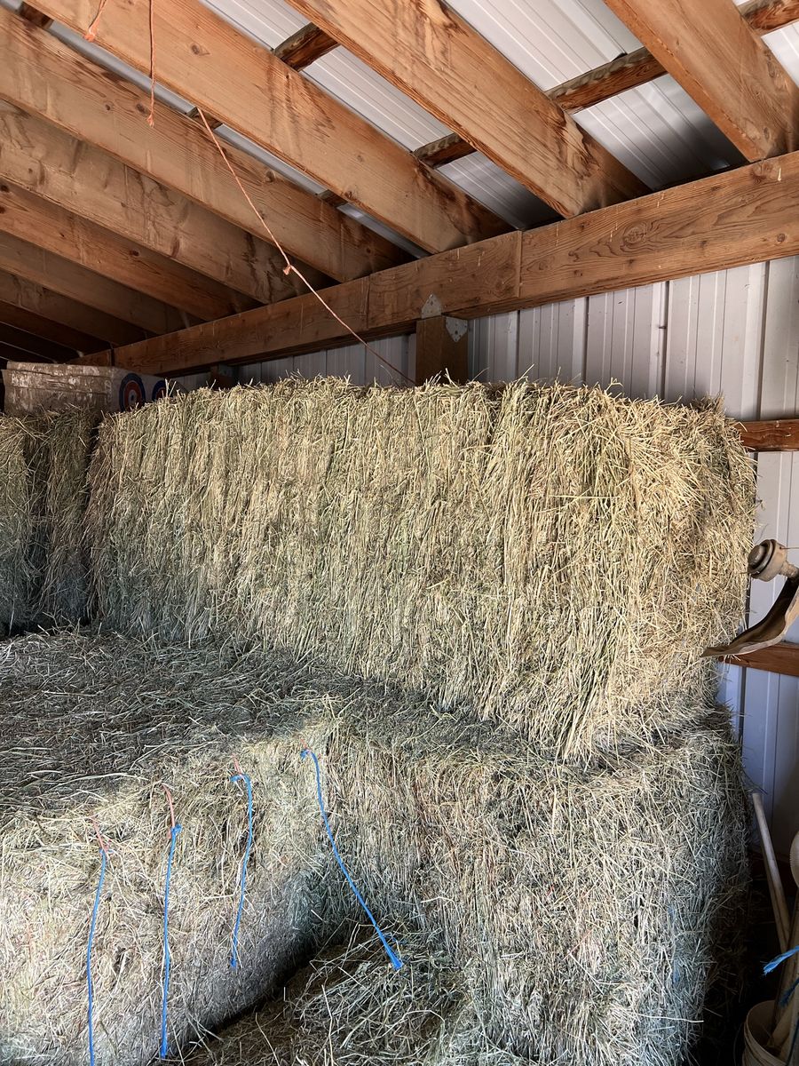 3 x 8 large mixed bales 