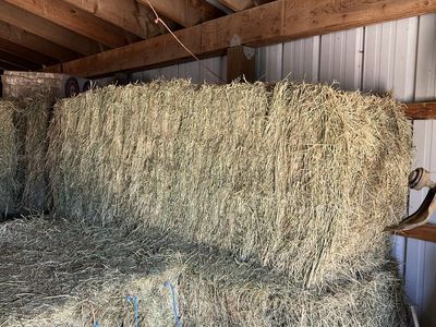 3 x 8 large mixed bales