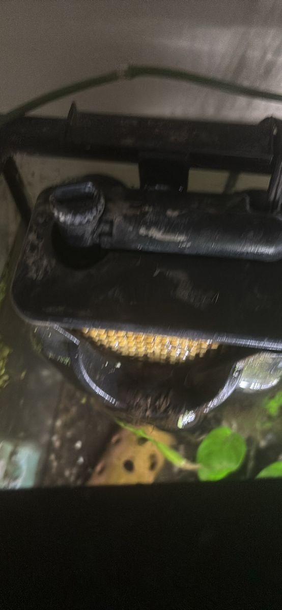 Aquarium filter