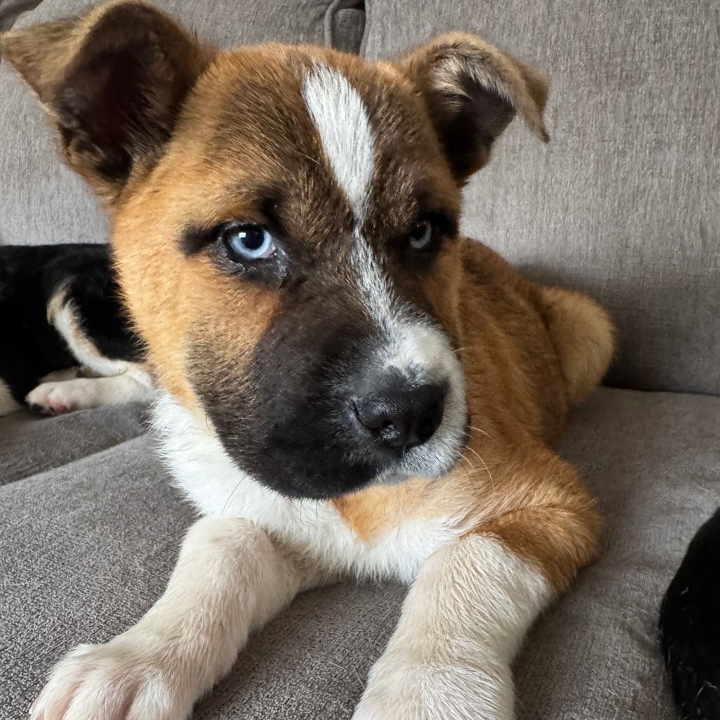 Hello my name is Grace