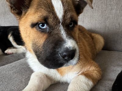 Hello my name is Grace