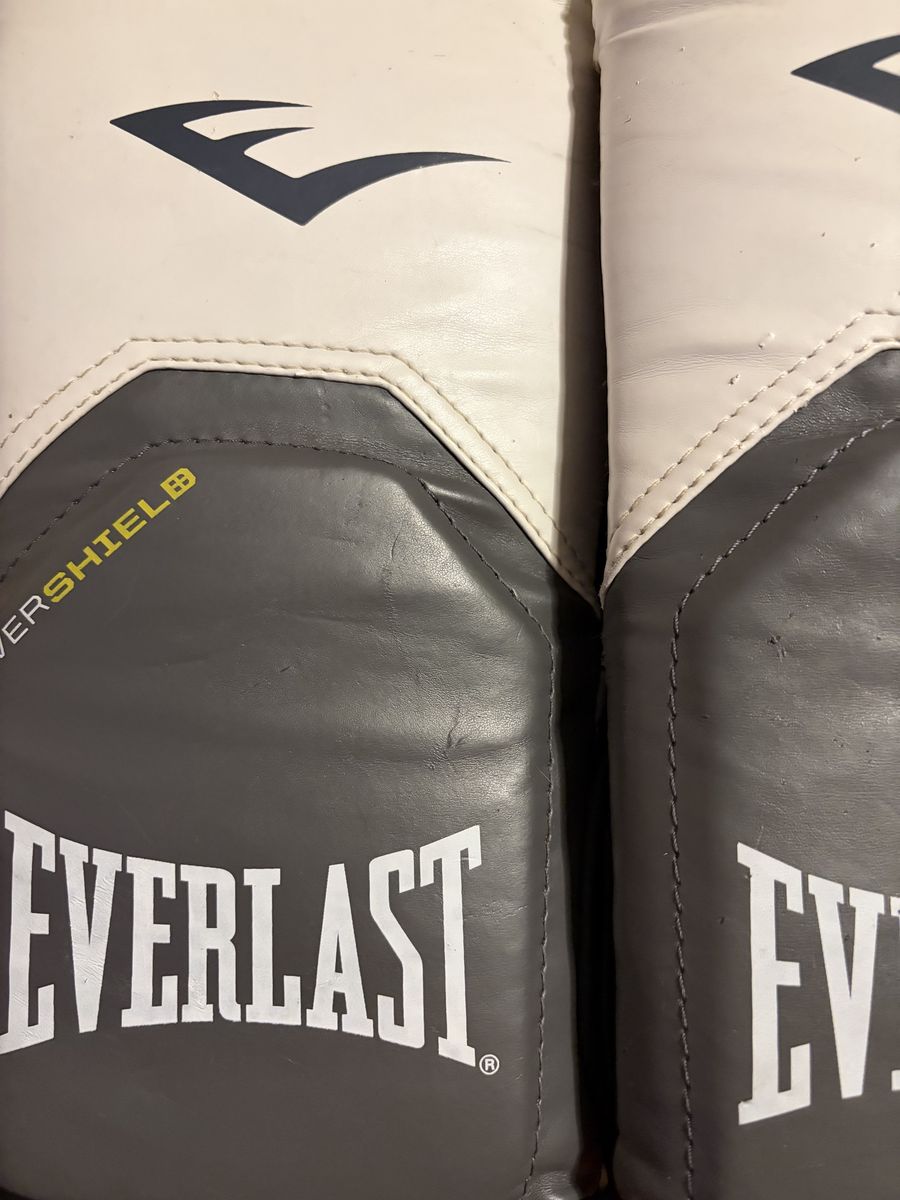 Ever Last Ever Shield boxing gloves