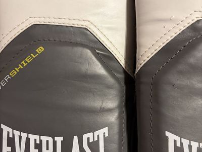 Ever Last Ever Shield boxing gloves