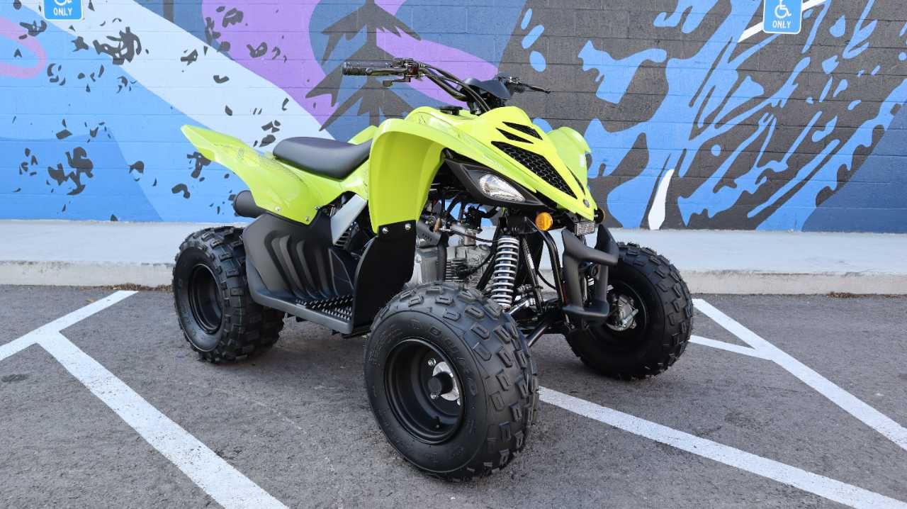 2026 YAMAHA RAPTOR 110