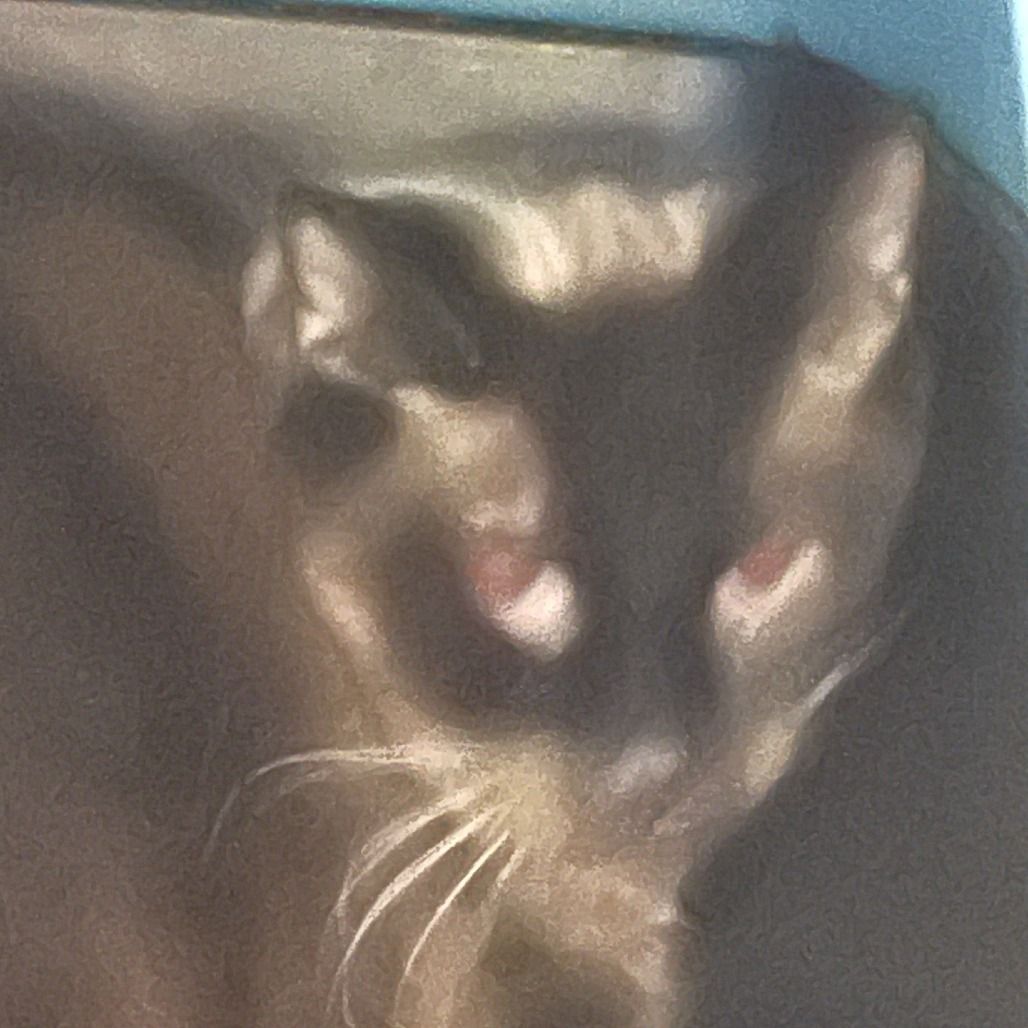 Hello my name is "AJ"