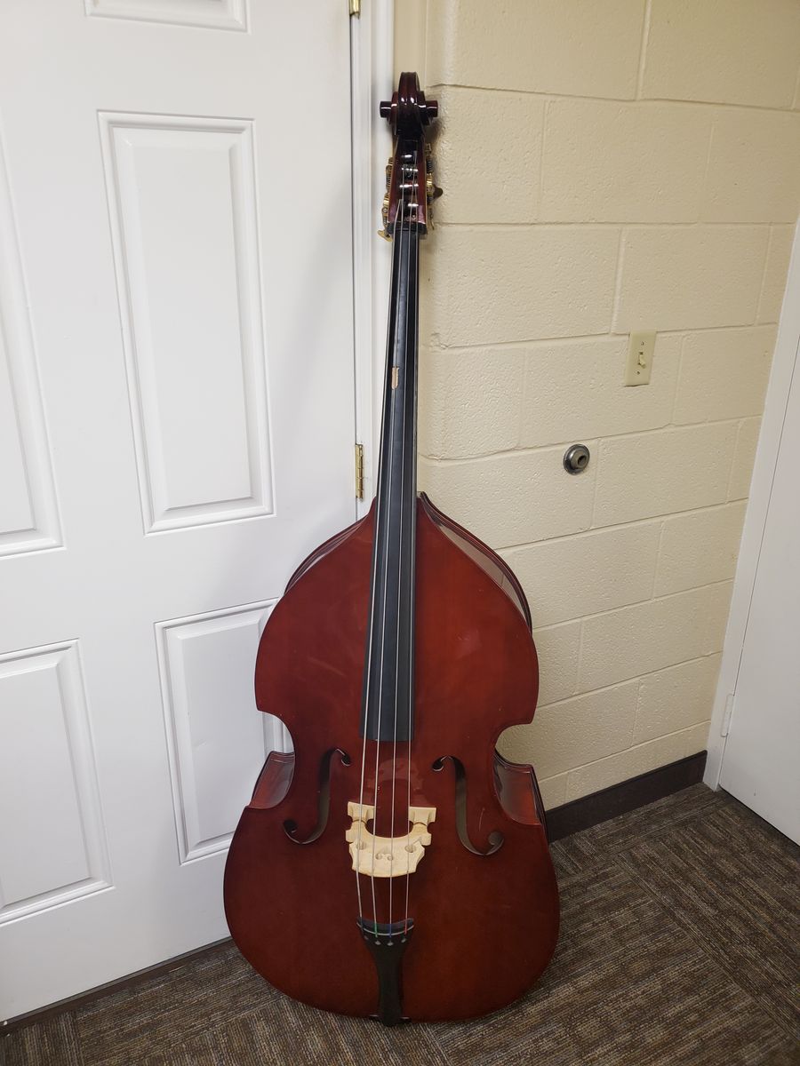 Student 1/2 size upright/double bass