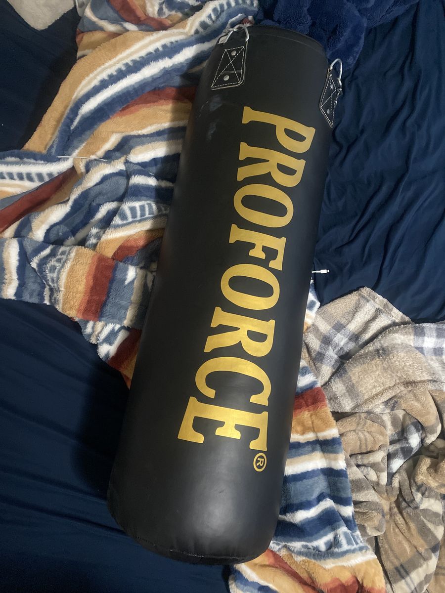 Proforce bag and Everlast bag + speed bag stand