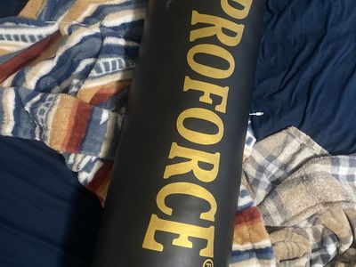Proforce bag and Everlast bag + speed bag stand