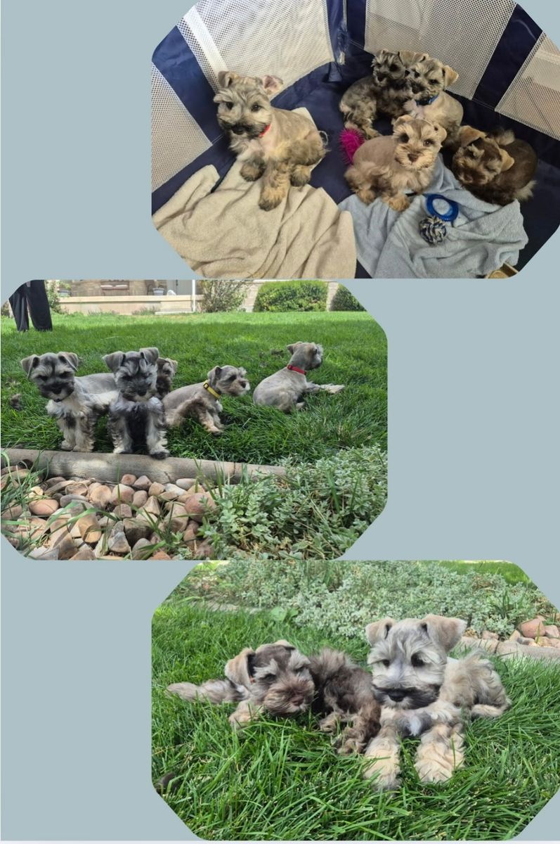 Main image 7